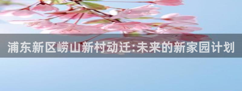 u8国际网站前言：浦东新区崂山新村动迁:未来的新家园计划
