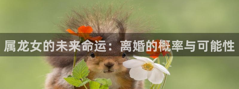 u8国际设计焕新上线.页面浏览.中国：属龙女的未来命运：离婚的概率与可能性