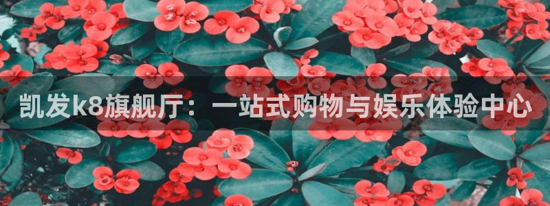 u8国际集团引商：凯发k8旗舰厅：一站式购物与娱乐体验中心