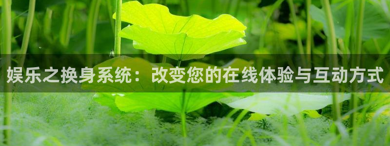 优发国际平台u8：娱乐之换身系统：改变您的在线体验与互动方式