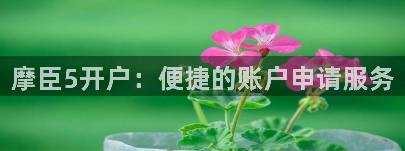 u8国际官网：摩臣5开户：便捷的账户申请服务