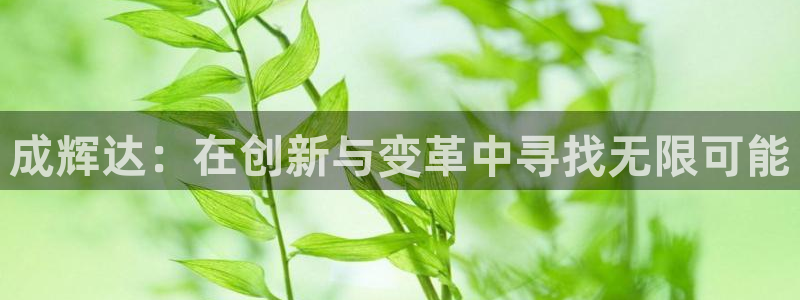 u8国际集团引商：成辉达：在创新与变革中寻找无限可能
