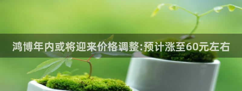 优发国际平台u8：鸿博年内或将迎来价格调整:预计涨至60元左右
