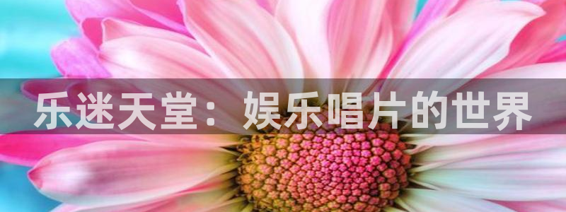 u8国际是什么：乐迷天堂：娱乐唱片的世界