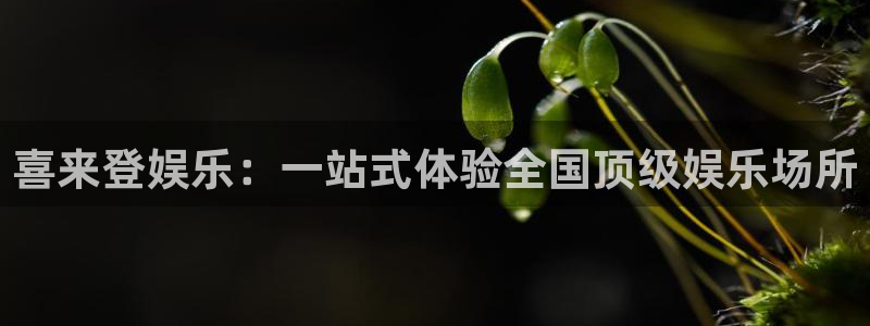 u8国际界面申领：喜来登娱乐：一站式体验全国顶级娱乐场所