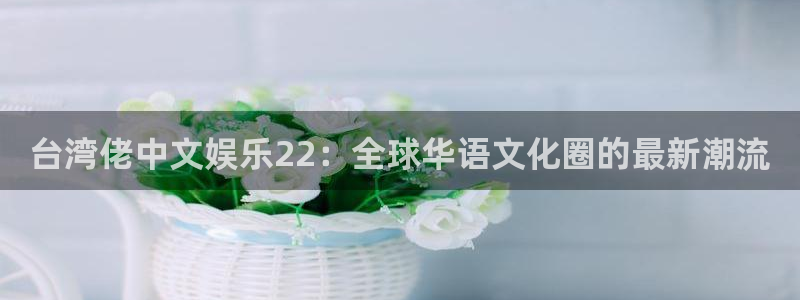 u8国际平台：台湾佬中文娱乐22：全球华语文化圈的最新潮流