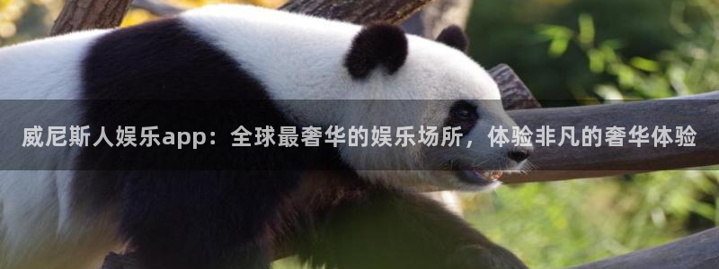 u8国际网站：威尼斯人娱乐app：全球最奢华的娱乐场所，体验非凡的奢华体验
